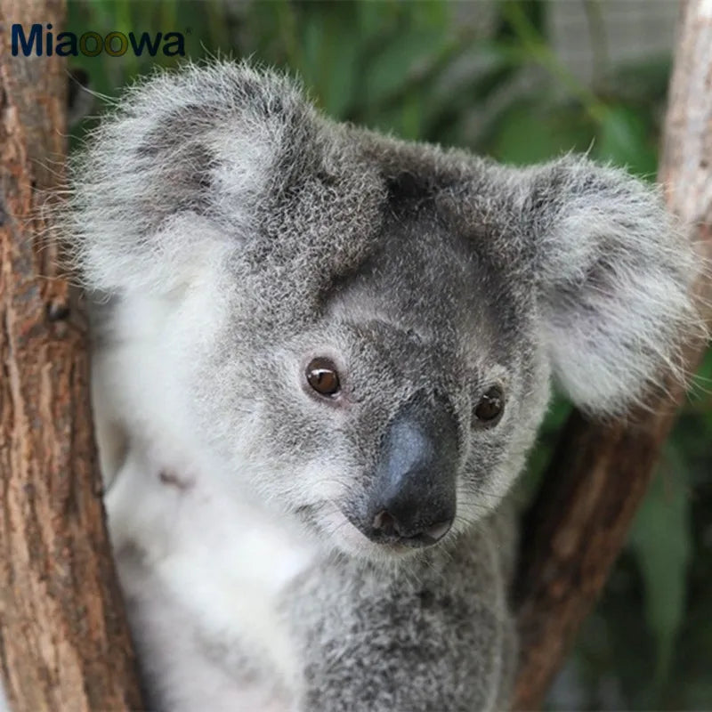 Close-up of a soft, fluffy gray koala plush toy with white chest and large ears, peeking from behind a tree.