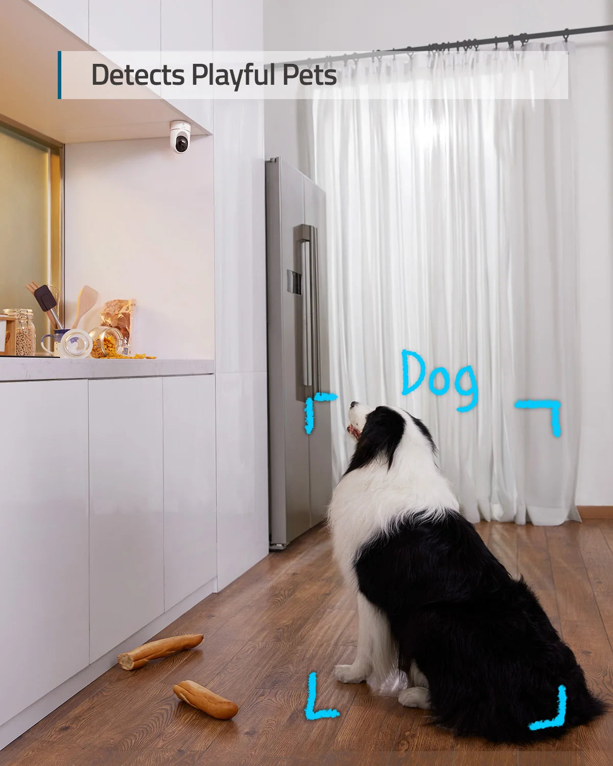 White smart security camera mounted in a kitchen, detecting a black and white dog.